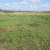 فروش زمین|فروش زمین و ملک کلنگی|طاهرگوراب, |دیوار