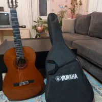گیتار C40 اصل اندونزی