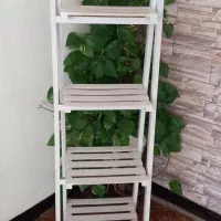 استند گل تمیز و سالم