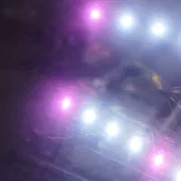 سلام یک عدد ماهی کت افریقایی