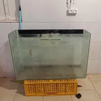 آکواریوم ماهی