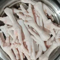 پای مرغ تازه