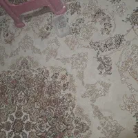 فرش|فرش|بندرعباس, |دیوار