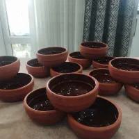 تعدادی کاسه سفالی