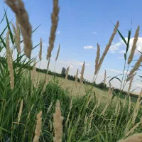 تور گردشگری|تور و چارتر|ارومیه, |دیوار