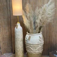 آباژور کنارسالنی