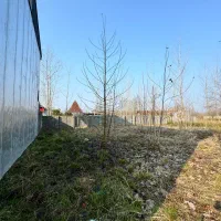 زمین ۲۱۶ متری مسکونی باپروانه ساخت روستایی لنگرود|فروش زمین و ملک کلنگی|چاف و چمخاله, |دیوار