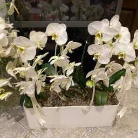 گل های آماده ارسال