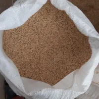 جو بذری بوجاری شده رقم ماکسیم