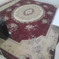 12متری|فرش|کوهدشت, |دیوار