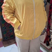 کاپشن سوییشرت|لباس|اصفهان, سرچشمه|دیوار