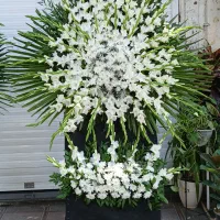 سفارشات انلاین گل آرایی با سابقه بالا .|خدمات پذیرایی، مراسم|مرودشت, پشت سایپا|دیوار