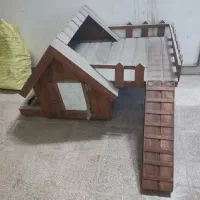 آغول سگ چوبی|لوازم جانبی حیوانات|مشهد, آزادشهر|دیوار