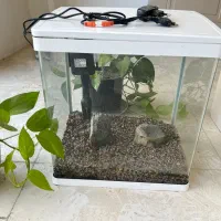 اکواریوم شیشه خم