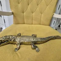 اکسسوری تزینی و زیبایی جنس برنج