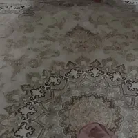 فرش|فرش|اهواز, پردیس|دیوار