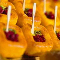 تشریفات و پذیرایی مراسمات فودلند