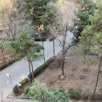 3-خواب-بالای-ورزشگاه