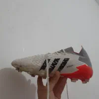 کفش بی نظیر