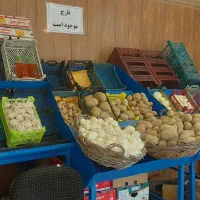 منبری میوه فروشی چرخ دارباقابلیت قرارگیری روی وانت|فروشگاه و مغازه|خمینی‌شهر, |دیوار