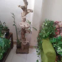 بارچوبی‌(استند‌گلدان).