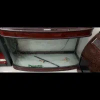 اکواریوم شرکتی|ماهی|چناران, |دیوار