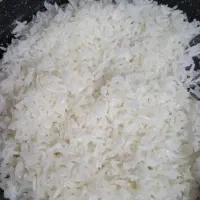 فروش برنج ایرانی به شرط  پخت|خوردنی و آشامیدنی|پردیس, فاز ۸|دیوار