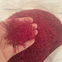 زعفرون اعلا خراسان