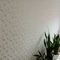 طرح کاغذدیواری|خدمات پیشه و مهارت|فومن, |دیوار