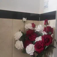 گل رز با گلدان