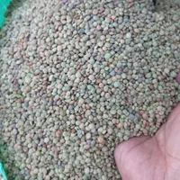 حبوبات|خوردنی و آشامیدنی|اصفهان, راران|دیوار