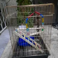 قفسه پرنده با لوازم جانبی