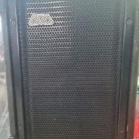 اکو همراه آوا با میگروفن