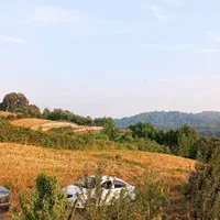 فروش زمین ۲۳۰ متری زرین آباد ساری ۳۶۰ میلیون|فروش زمین و ملک کلنگی|ساری, |دیوار