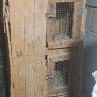 جفت کن سه طبقه|پرنده|بم, |دیوار