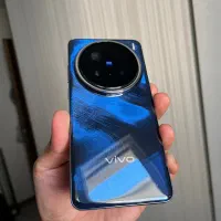 vivo x200 pro
