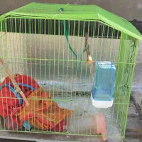 دو عدد قفس پرنده همراه با لونه و دون خوری و آبخوری|لوازم جانبی حیوانات|جم, |دیوار