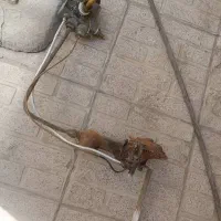 رگلاتور ابگرمکن