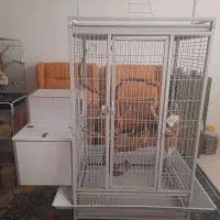 قفس پرنده . قفس بزرگ . قفس مسافرتی|لوازم جانبی حیوانات|رباطکریم, رباطکریم|دیوار