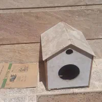 خرگوش بازی گوش