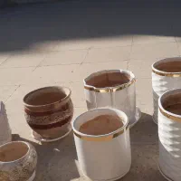 گلدان سفالی|گل و گیاه طبیعی|ری, فیروزآبادی|دیوار