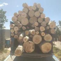 خرید چوب به صورت نقدی با بالاترین قیمت