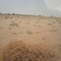 فروش زمین کشاورزی میاندشت قیمت ۱۷۵
