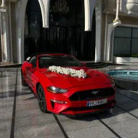 اجاره ماشین عروس|خدمات پذیرایی، مراسم|ری, فیروزآبادی|دیوار