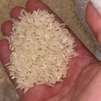 برنج محلی درجه یک