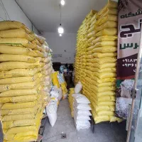 برنج عنبربو بار قدیم