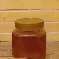 عسل گون زرد طبیعی