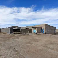 گاوداری شیری با پروانه وباغ