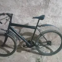 یک عدد دوچرخه