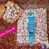 سرمایه گذاری در کارگاه تولید شکرپنیر